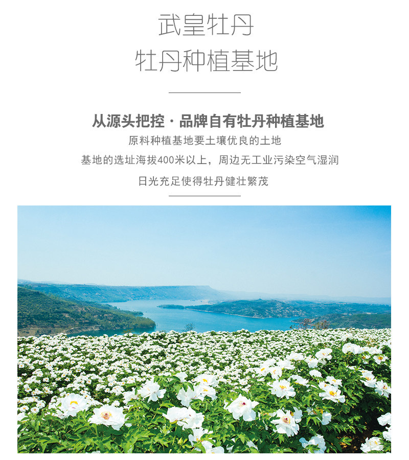 武皇牡丹鲜花饼正宗传统流心蛋黄酥 武皇传统糕点