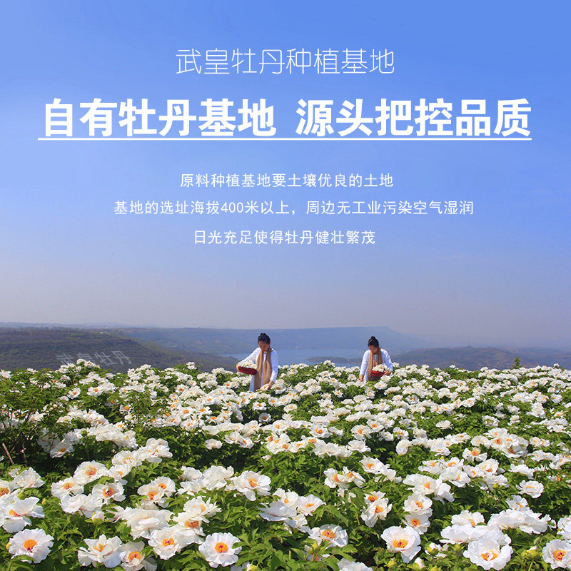 武皇牡丹鲜花饼正宗传统流心蛋黄酥 武皇传统糕点