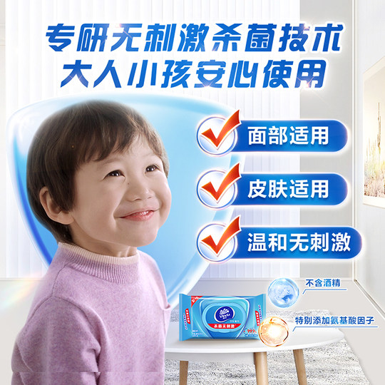 80 pieces of Vida sterilization and sanitary wipes