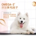 Nhà hàng Odin Western Dog Thức ăn cho chó Lớn Chó trưởng thành Chó con 15kg Phổ biến Pháp Steak Jin Mao Demu - Chó Staples