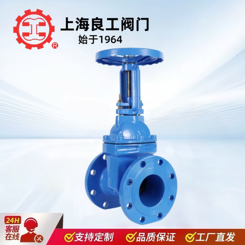 上海良工阀门暗杆Z45X-16Q明杆闸阀Z41X软密封法兰弹性座封球磨80 - 图2