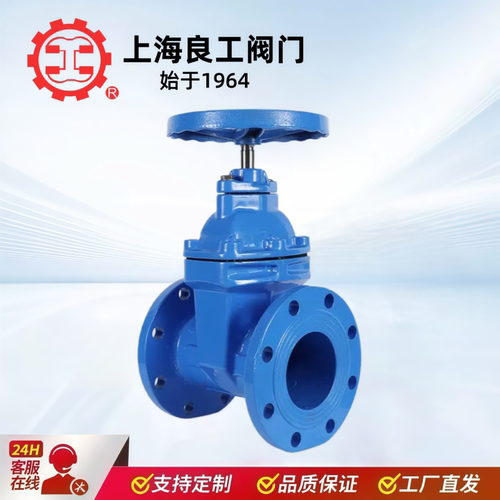 上海良工阀门暗杆Z45X-16Q明杆闸阀Z41X软密封法兰弹性座封球磨80 - 图1