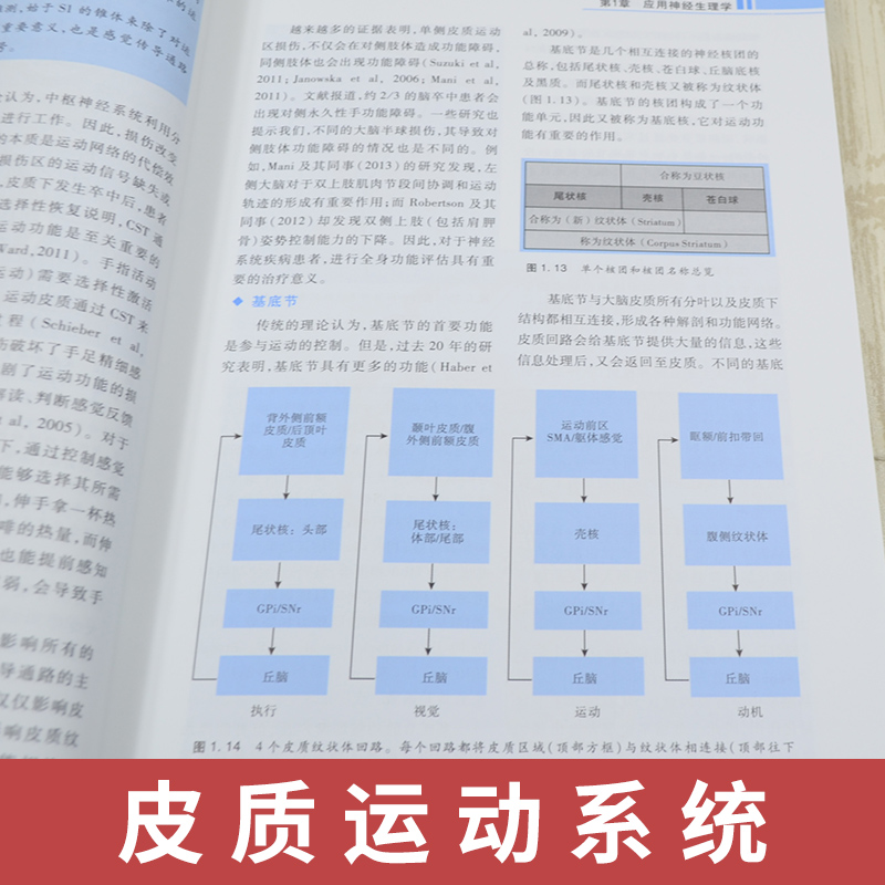 Bobath观念与神经康复原著第2版不同层次物理治疗师作业治疗师读物 200多幅照片插图小儿脑瘫成人偏瘫治疗神经医学理论研究-图1