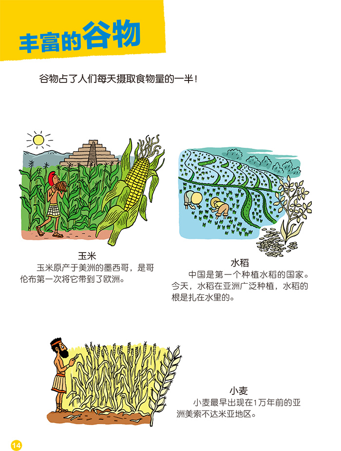 全10册Youpi妙趣小百科集生态学家 科学家 儿童文学家教育学者 绘图画家打造的科普书少儿百科适合3-7岁的孩子认知百科图书 天天 - 图3