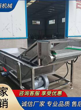大型果蔬清洗机商用气泡清洗蔬菜机蓝莓圣女果网链喷淋清洗设备
