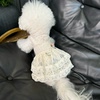 Five Little White Bears Original Pet Clothes Spring and Summer New Lace Princess Dress Dog Cat Wedding Dress Skirt