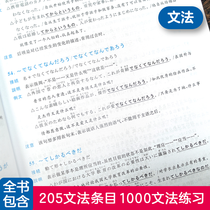 蓝宝书.新日本语能力考试【N1】文法（详解+练习） 日语能力考一级真题语法华东理工 - 图1