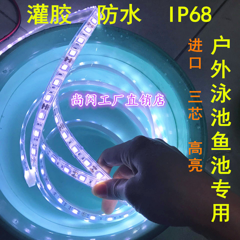 led12v5050灯带60珠超高亮水下软灯条鱼池灌胶户外捕银鱼深度防水-图0