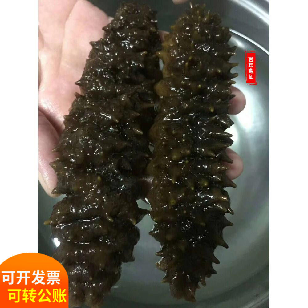 南美洲大黑刺参螺纹龙纹海参北深海孕妇月子餐淡干货正品礼盒500g_虎窝淘