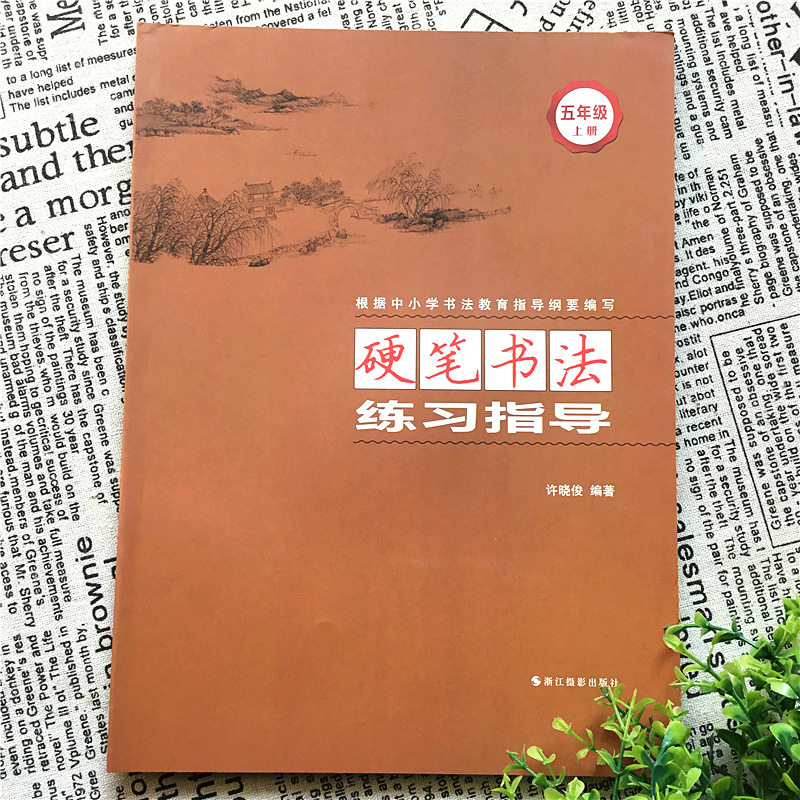 2022新硬笔书法练习指导+练习册五年级下册许晓俊小学语文课超有趣同步练习册专项训练字帖楷书全套默写能手练字贴浙江摄影出版社_虎窝淘
