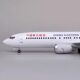 1100C919 passenger aircraft model