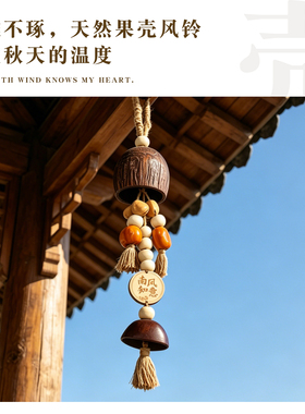 果壳风铃diy果实摇铃材料