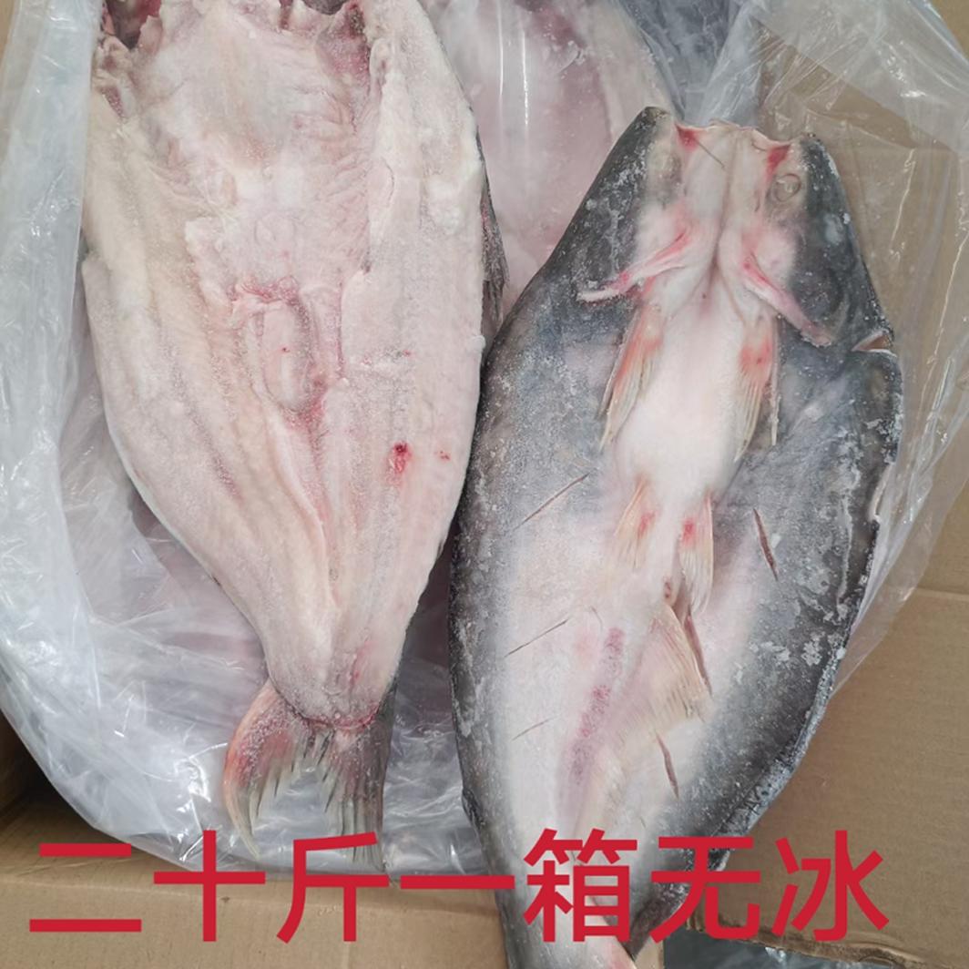 冷冻新鲜 开背巴沙鱼 湄公鱼 烤鱼 烧烤食材二十斤一箱无冰可包邮 - 图2