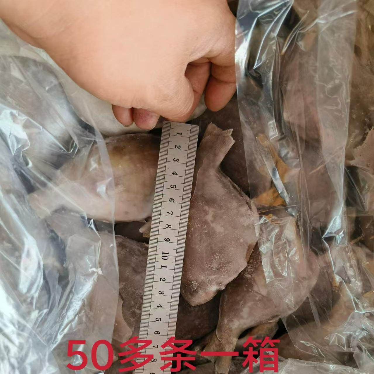 冷冻深海新鲜 香鱼 三去香鱼 肉鲳鱼 带冰十三斤一箱可顺丰包邮,淘宝优惠券,粉丝福利购,淘宝优惠卷