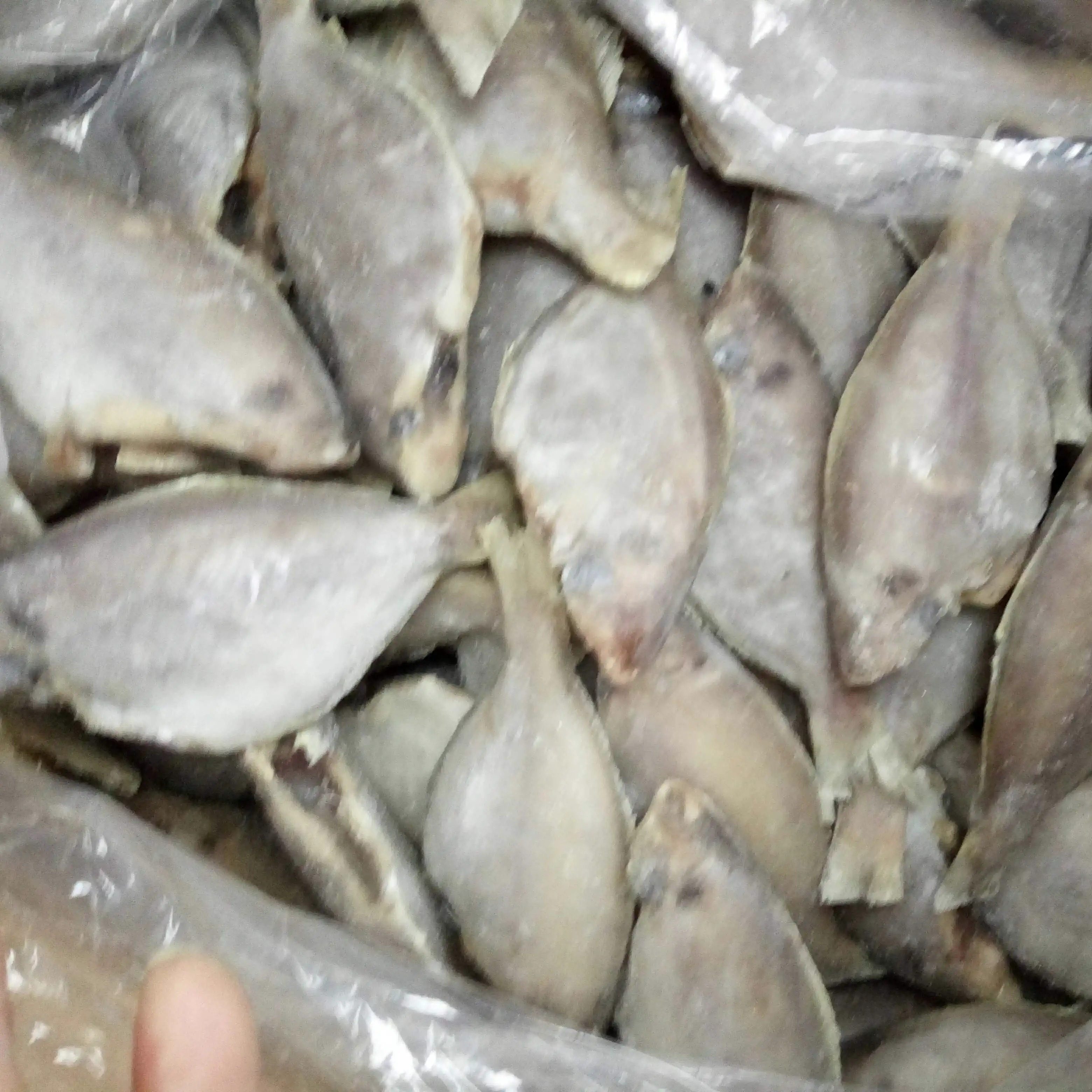 冷冻深海新鲜 香鱼 三去香鱼 肉鲳鱼 带冰十三斤一箱可顺丰包邮,淘宝优惠券,粉丝福利购,淘宝优惠卷