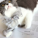 Mog Bows Circle Circle Cat, собака, ход сказочного джентльмена