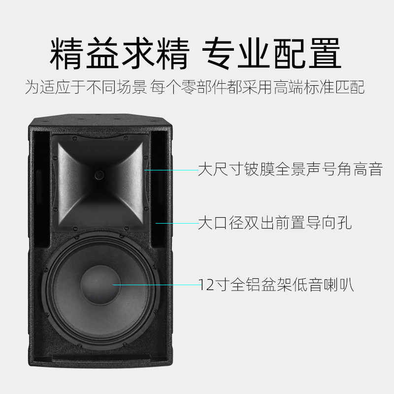 威仕vose f-12专业舞台12寸音响 voseKTV/卡拉OK音箱