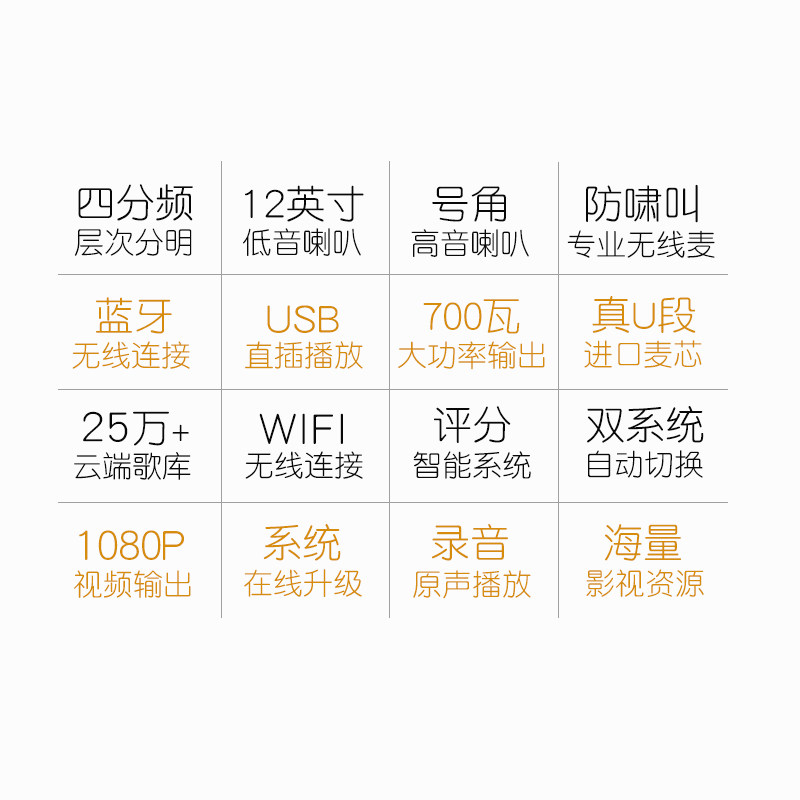  voseKTV/卡拉OK音箱