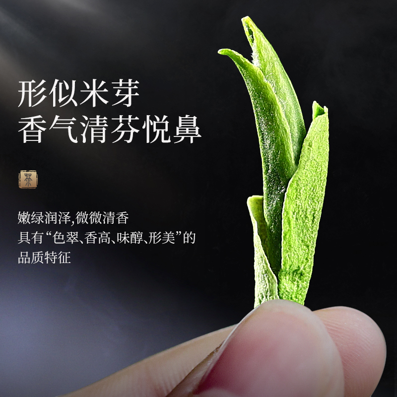 2024新茶雀舌绿茶明前头采嫩芽峨眉山特级芽尖春茶浓香型罐装茶叶