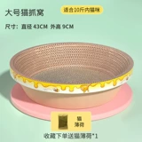 Кошка захватывает миску в форме кошачьего гнезда кошачья кошачья гнезда гнездо гнездо гнездо гнездо.