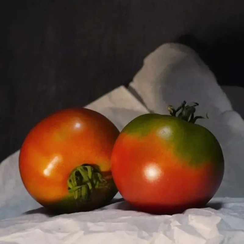 云南有机甜橙西红柿新鲜现摘甜柿子虎眼番茄不打农药,淘宝优惠券,粉丝福利购,淘宝优惠卷