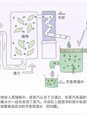 百灵谷净化空气3年植物单方精油