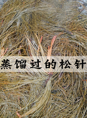 松针纯露 松针清露 100ML 收缩控油 净化毛孔 平衡补水