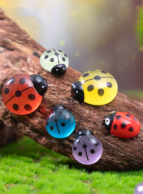 跨境新品微景观创意夜光七星瓢虫园艺造景 DIY装饰品迷你树脂摆件