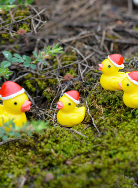苔藓微景观可爱风盆栽树脂工艺品
