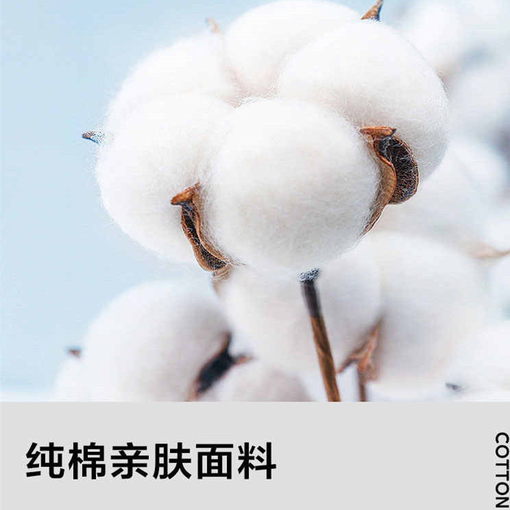 可拆换天然健康草本决明子纯棉枕芯吸湿透气高弹不塌陷深睡眠枕头,淘宝优惠券,粉丝福利购,淘宝优惠卷