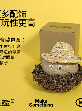 养成玩具礼品工位摆件石头宠物石