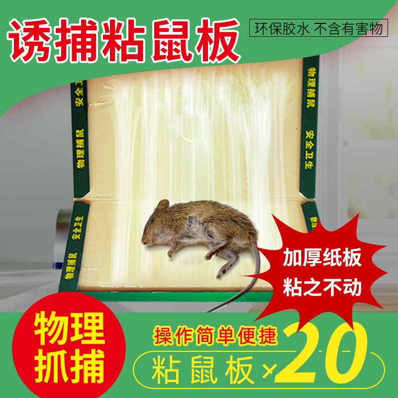 金鹿粘鼠板专抓大老鼠贴沾胶捕鼠正品家用20片装