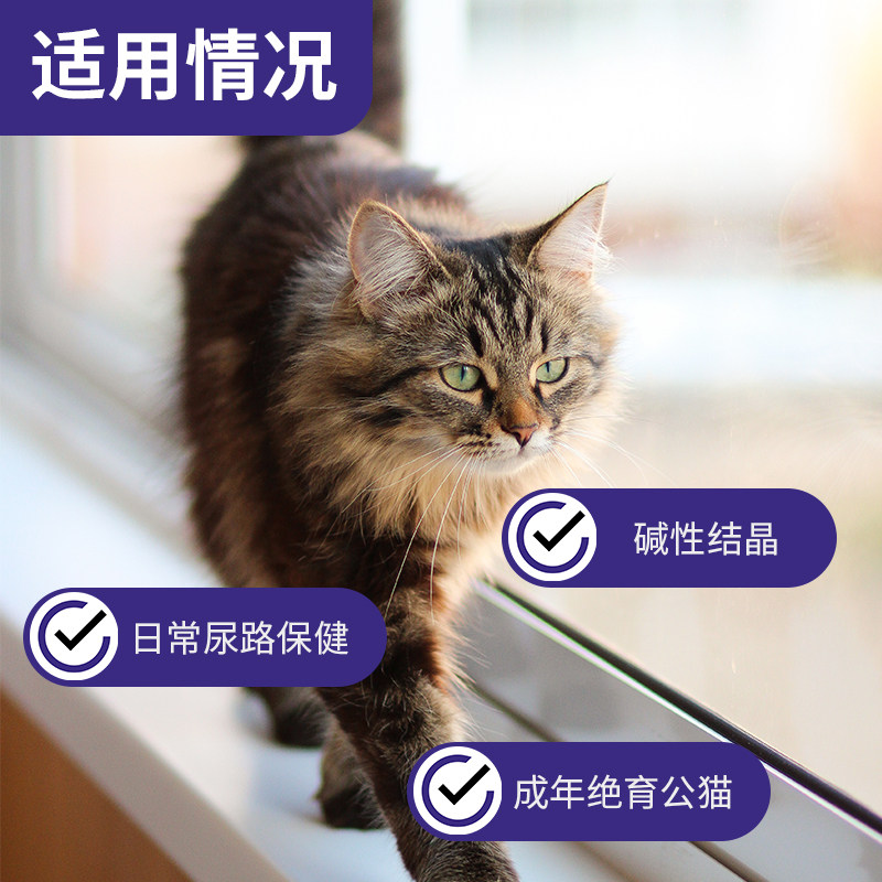 安琪儿尿消猫咪尿血尿道膀胱尿路石 嘉瑞盈宠物用品猫/狗保健品