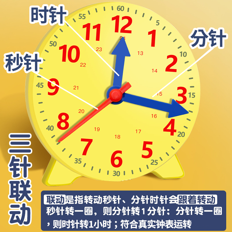 钟表模型小学教具 一二年级小学生学习认识时间12/24小时三针联动数学时钟教具钟面学具儿童学时钟原理教学用 - 图0