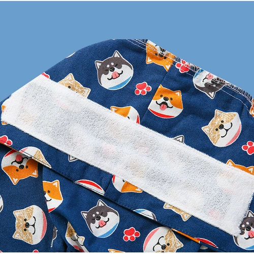 Печатная крышка хирургия женщины рта стоматолочное домашнее животное медсестра Крама