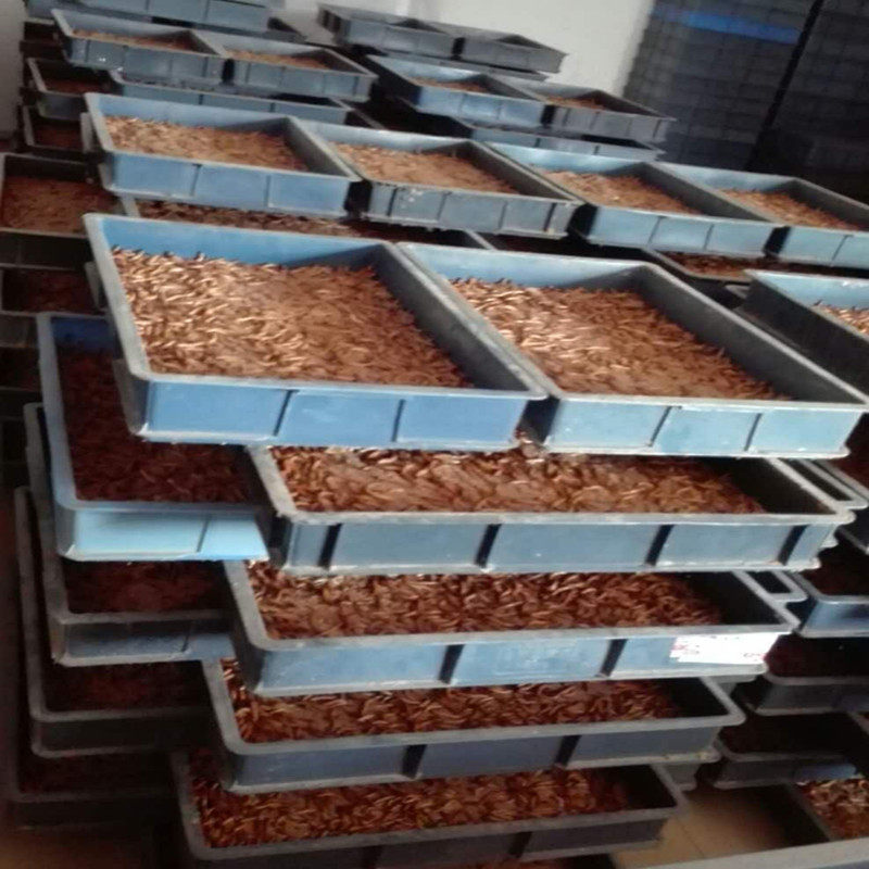 大麦虫活体超级面包虫龙鱼乌龟八哥画眉蜥蜴蜘蛛守宫宠物饲料包邮,淘宝优惠券,粉丝福利购,淘宝优惠卷