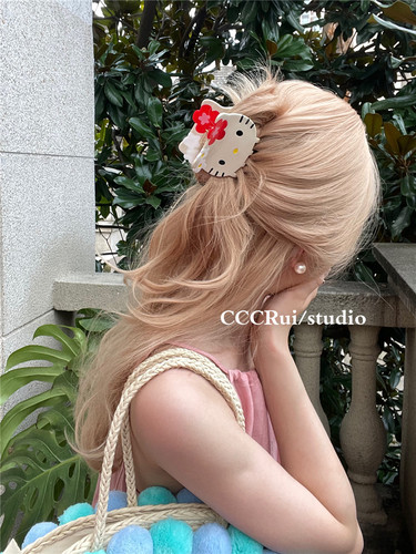 CCCRUI原创醋酸可爱夏威夷巨好看抓夹黑皮鲨鱼夹高级感卡通盘发抓 - 图3