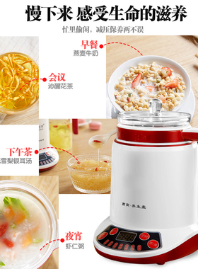 养生壶玻璃多功能液体加热器