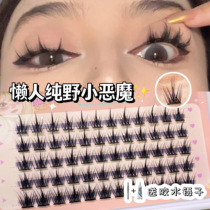 Again pure and desire ~ 5 rows of pure wild small demons Ultrafine Stalk False Eyelash Natural Emulation Grafting Daily Makeup New Hands Single Tuft