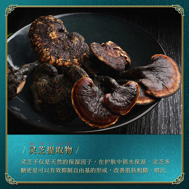 玖美堂灵芝二裂酵母护肤七件套尊享套盒精华液爽肤水洁面正品套装