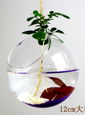 玻璃吊挂小鱼缸水培植物墙壁花瓶