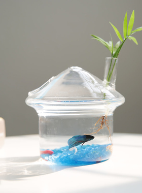 创意悬挂水培花瓶透明鱼缸养鱼