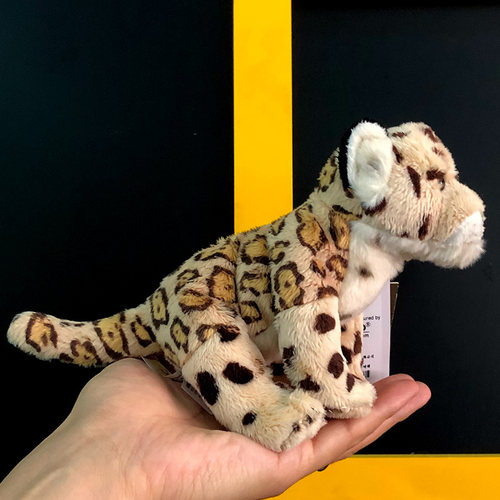 地理系列仿真猫科动物玩偶毛绒玩具猎豹云豹美洲豹小公仔儿童礼物 - 图1