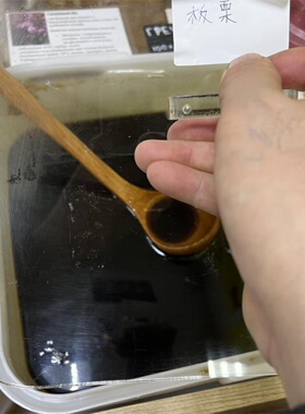 俄罗斯现场直播采购签字蜂蜜250克