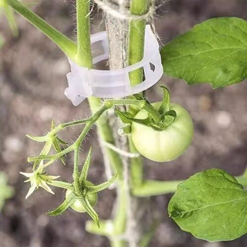 绿植果树植物固定夹卡扣藤蔓固定器秧苗爬藤支撑杆果蔬秧苗吊秧夹 - 图1