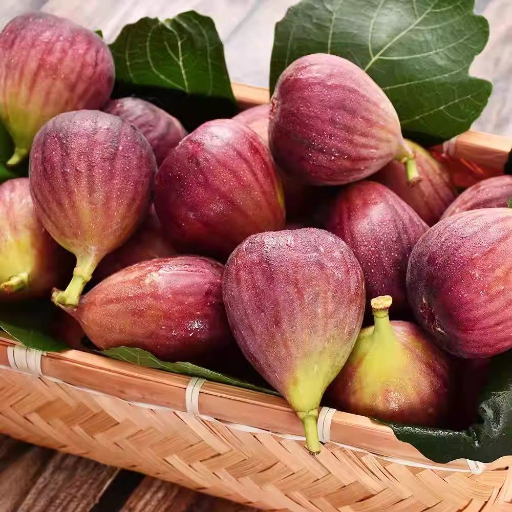 新鲜红皮无花果3斤装软糯香甜空运速发坏果包赔当季水果,淘宝优惠券,粉丝福利购,淘宝优惠卷