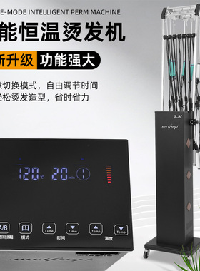 单孔超轻高端智能恒温数码烫双孔热烫发机器双系统艾文芭菲发廊用