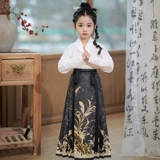 Jinxianyao Оригинальная юбка для лапши конной лапши Новая китайская национальная ветряная куртка Hanfu Ming Hanfu Costume Девушка
