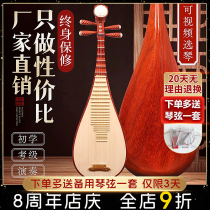 Lin Hai Childrens Pipa Instrumental Exam Class Special Beginners Entry-level Flowers Pear Wood Adults Play Red Wood Pipa Harmonica