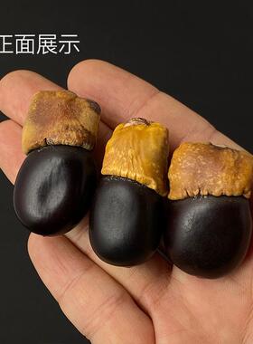缅茄菩提子原籽罕见冷门小众文玩